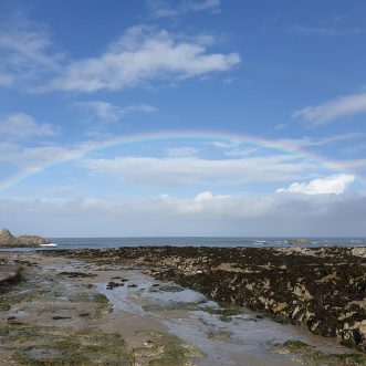 Look for rainbows